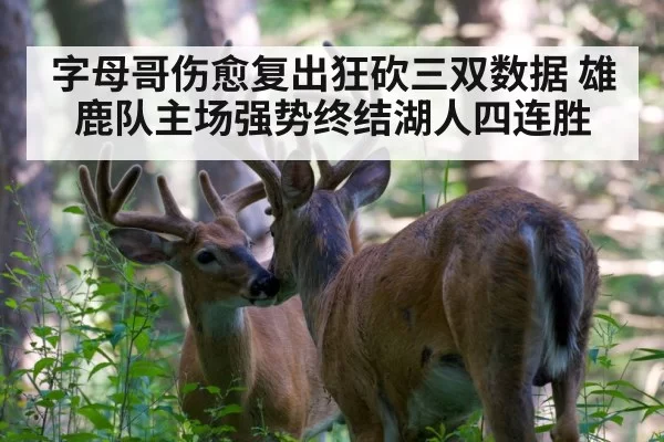 字母哥伤愈复出狂砍三双数据 雄鹿队主场强势终结湖人四连胜
